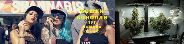 трава Надым