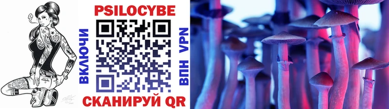 Галлюциногенные грибы Psilocybine cubensis  как найти   Горячеводский 